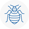 Bed Bug Extermination In Whittington