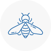 Bee Nest Removal Whittington