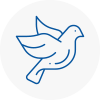 Bird Prevention Whittington