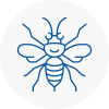 Whittington Hornet Nest Removals