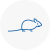 Mice Exterminators In Whittington