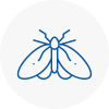 Moth Control Specialists In Whittington