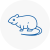 Rat Control Whittington