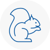 Whittington Rodent Removals